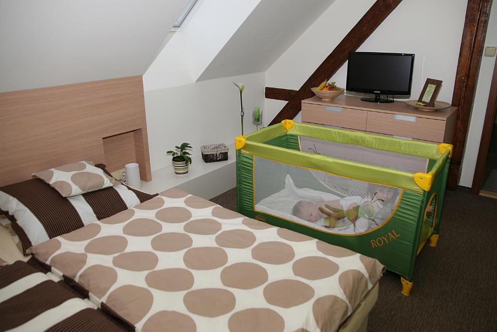 Penzion A Relax Centrum Andelka Hanušovice Δωμάτιο φωτογραφία
